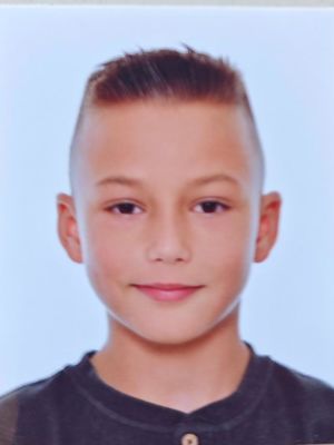 Luka Ujević