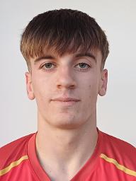 Fran Grđan