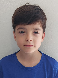 Feđa Gabriel Soldatić