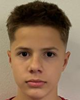 Karlo Dolenec