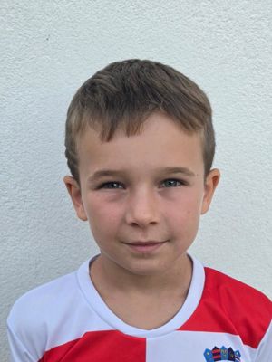 Fran Šeb