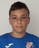 Nikola Benić