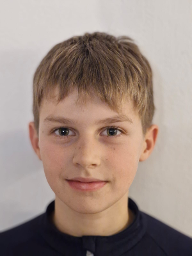 David Antonio Prlić