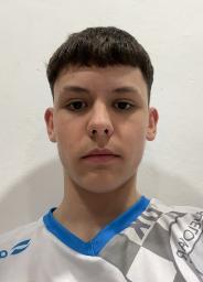 Karlo Ledinski Vunić