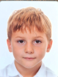 Petar Čvek