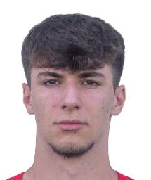Paul Antić