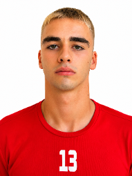 Luka Milić