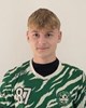 Dino Mavriček