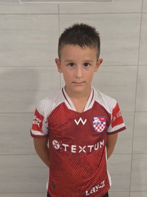 Luka Šestić