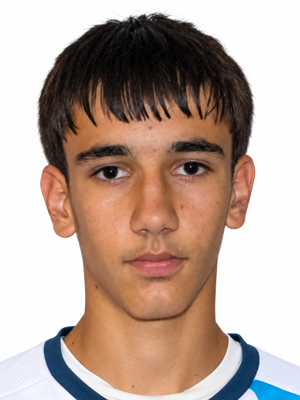 Nikola Adžidović