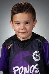 Karlo Paulić