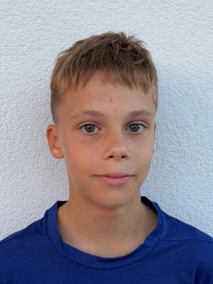 Mihael Budimir