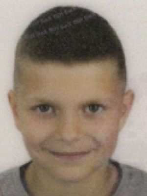 Vedad Beširević