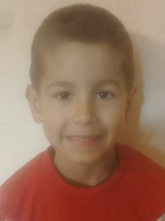 Boško Noa Vladović