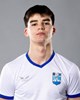 Karlo Katić