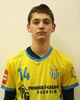 Petar Važić