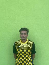 Saad Ahmed Saad Abouelenin