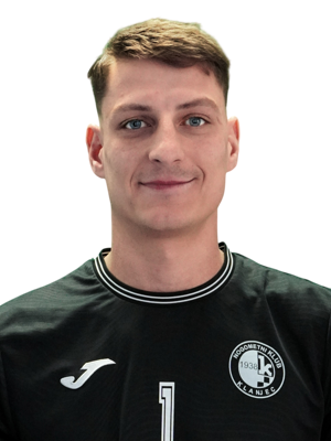 Nejc Travnikar