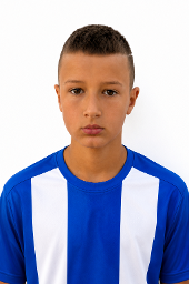 David Bradarić