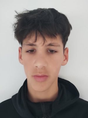 Toma Šredl