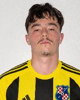 David Komljenović
