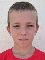 Niko Kuliš