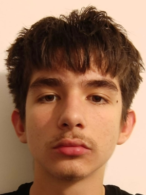 David Gredelj