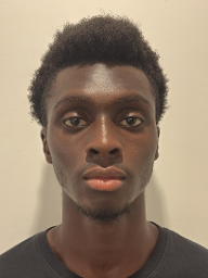 Koudou Romuald Christ-Emmanuel Dagourou