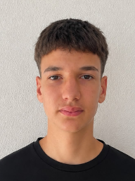 Marko Majstorovic