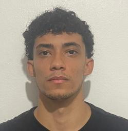 Luis Felipe Gomes da Silva