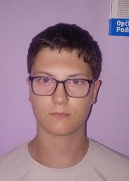 Mihael Pintarić
