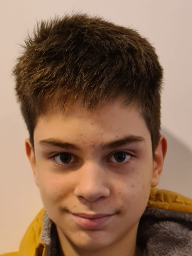 Borna Gaube Pavelić