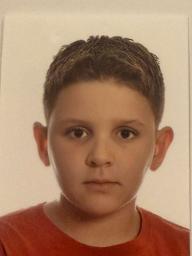 Nikola Jelavić