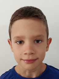 Roko Rendulić