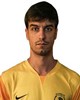 Duje Dragun