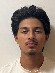 Rene Omar Arreguin Martinez
