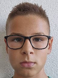 Luka Vesel