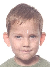 Lovro Arapović