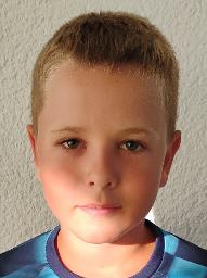 Vito Srdoč