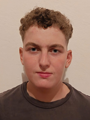 Stipe Erceg