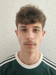 Luka Šrajer