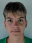 Niko Zlatarek