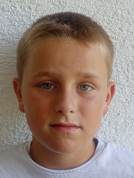 Sebastian Ibrišimbegović