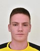 Lovre Birkić
