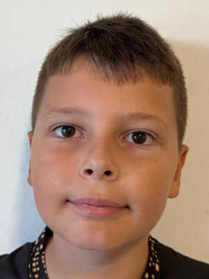 Niko Batinić