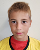 Niki Brkuljić