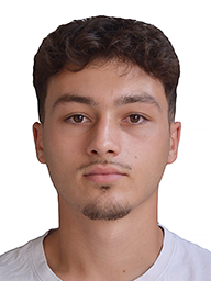 Ivan Robert Damjanović