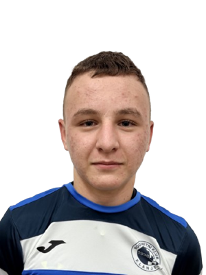 Dominik Pavlinić