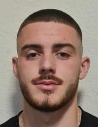 David Šušić Vulić