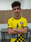 Petar Tomić
